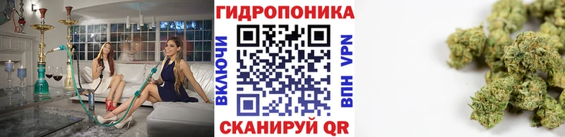 Канабис планчик  Новоаннинский 
